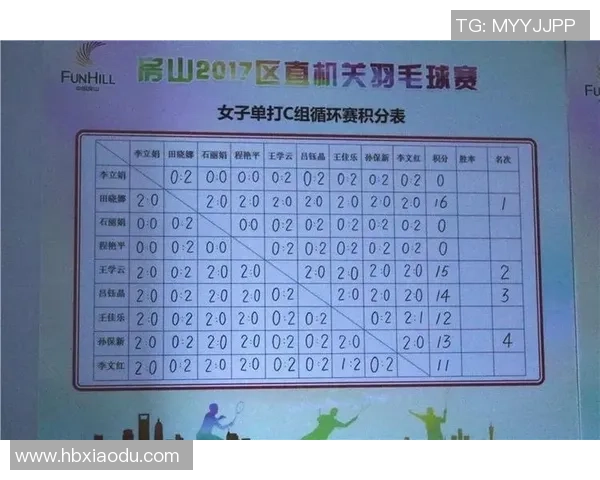 重庆羽毛球队实力分析与联赛表现评估探讨