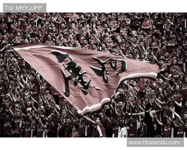 中国足球明星为何难以赢得球迷喜爱深度解析与反思