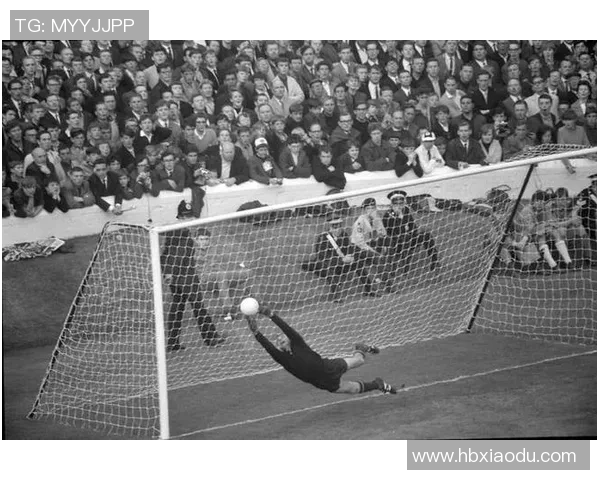 俄罗斯足球明星的辉煌历程与成就探秘